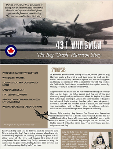The 431 Wing Man