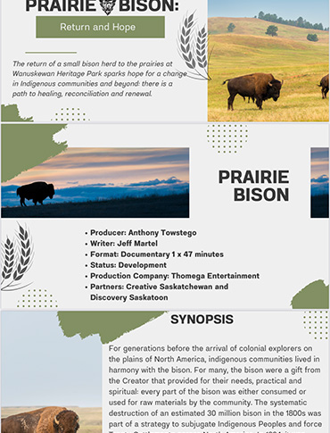 Prairie Bison